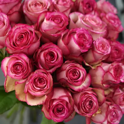 Фото розы карусель: Откройте двери в мир романтики и страсти