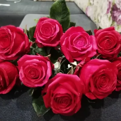 Фото розы карусель: Прикоснитесь к чистой красоте с широким выбором размеров и форматов.