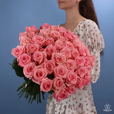 Уникальное фото розы казанова: выберите формат для сохранения