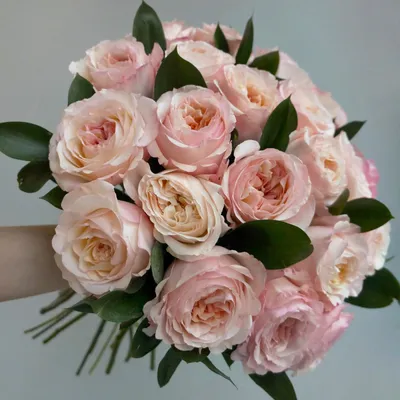 Изображение розы Кейра - выберите свой идеальный размер