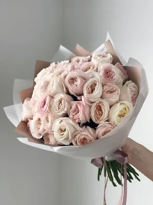 Фото розы Кейра - выберите размер и формат по вашему желанию