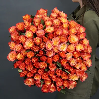 Красивое фото розы хай меджик: выберите размер и формат