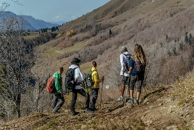 Фото, картинка, изображение розы: Роза хутор туристов, jpg