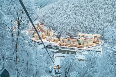 Фотография розы: Роза хутор в Сочи - Большой размер, формат jpg