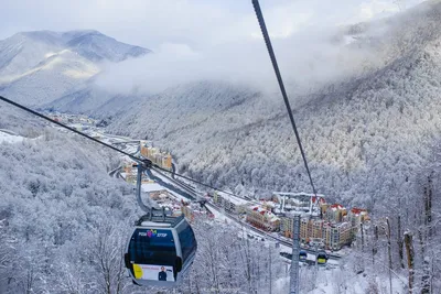 Зимнее фото розы с возможностью скачивания в разных форматах на Розе хутор