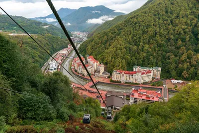 Фото розы хутор: выберите желаемый размер изображения