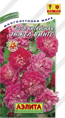 Фотка розы китайской энжел вингс с возможностью выбора размера