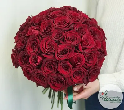Фотография розы киви, которая раскрывает всю ее красоту