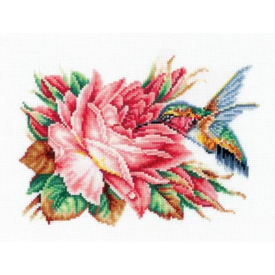 Фотография розы колибри в формате webp для обоев