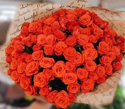 Фото розы корвет для любителей цветов