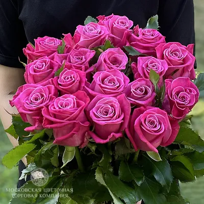 Гламурная фотография розы космик