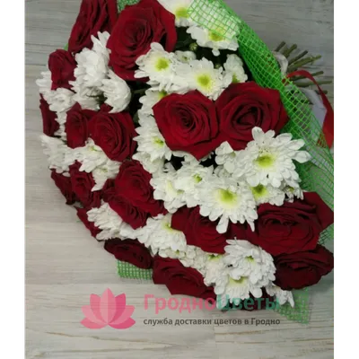 Фото розы с красной шапочкой в png в маленьком размере для сохранения.