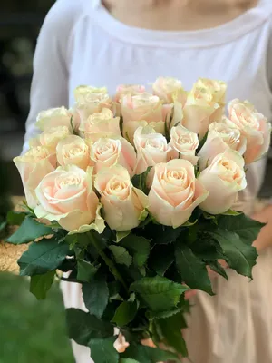 Красивая кремовая роза в формате jpg