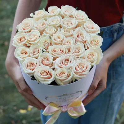 Уникальное изображение кремовой розы покорит ваши сердца
