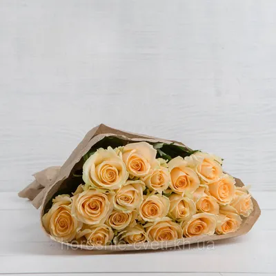 Фотография кремовой розы в формате webp – синтез стиля и красоты