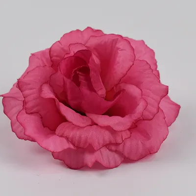 Фото розы ксюша: сохраните изображение в формате png