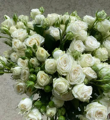 Картинка белой кустовой розы с возможностью выбора формата