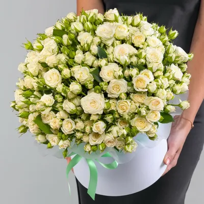 Фото прекрасной белой розы в форматах jpg, png, webp