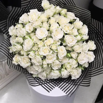 Красивая белая кустовая роза на фото