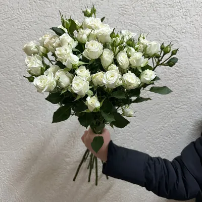 Фотография розы кустовой белого оттенка для скачивания