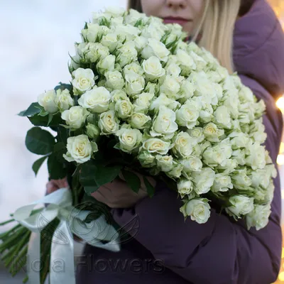 Белая роза в фото формате с возможностью изменения размера