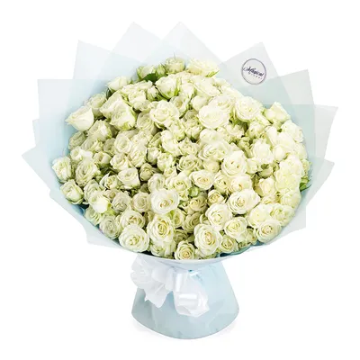 Фотка белой кустовой розы с выбором формата фотографии