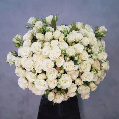 Картинка изящной белой розы на странице с возможностью выбора формата