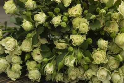 Картинка кустовой розы белого цвета на странице фото с возможностью выбора формата