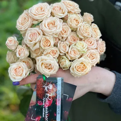 Фото розы кустовой яна