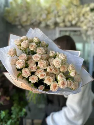 Фото розы кустовой яна в png формате с возможностью выбора размера