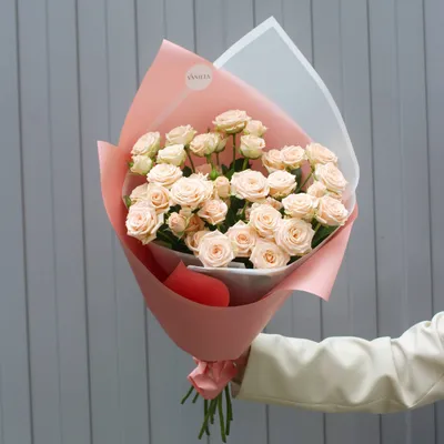 Изображение розы кустовой яна для скачивания в webp формате