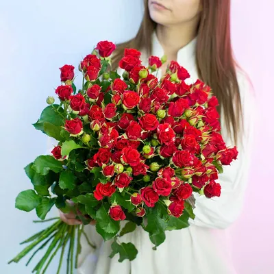 Фотография кустовой красной розы в формате webp