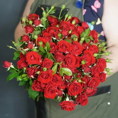 Фото розы для бесплатного скачивания в webp