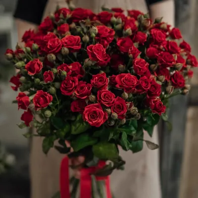 Картинка кустовой красной розы размером по вашему выбору