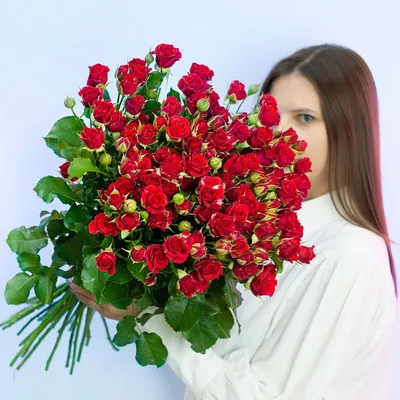 Фото розы кустовой мирабель в новом формате webp