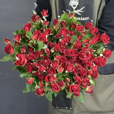 Изображение розы кустовой мирабель с выбором формата и размера