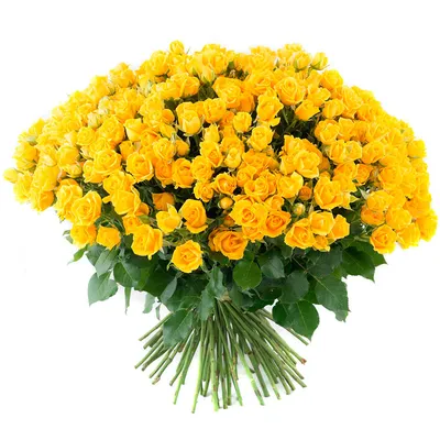 Желтая роза на фото: выберите нужный размер и формат