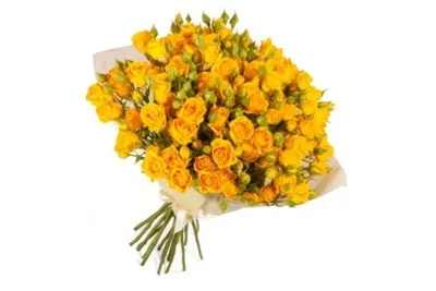 Благоухающая желтая роза - красивая фотография в формате JPG
