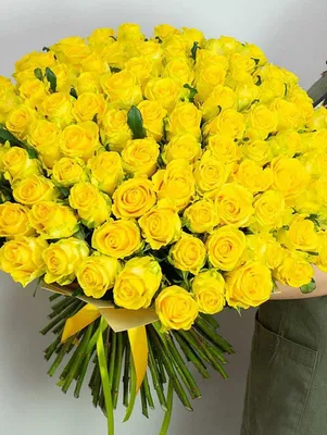 Фото живописной желтой кустовой розы для скачивания в PNG
