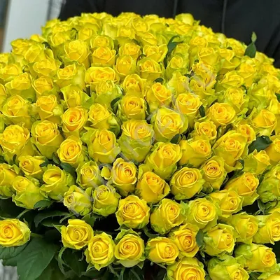 Желтая кустовая роза на прекрасном изображении в формате WEBP