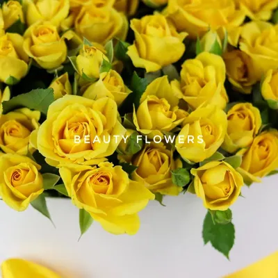 Нежная желтая роза на фотографии: доступно скачивание в любом формате