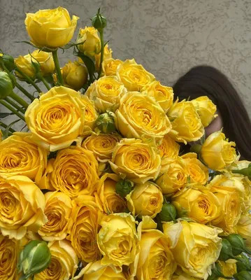 Фото роскошной желтой розы с выбором размера и формата