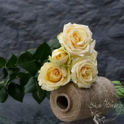 Желтая роза: фотография скачивается в один клик