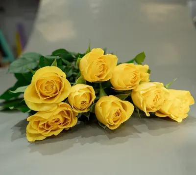 Желтая кустовая роза на прекрасном фото в формате JPG