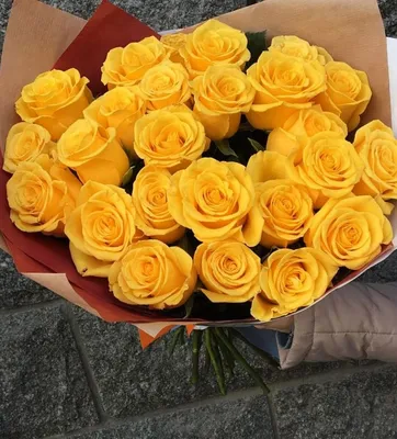 Желтая роза на фотографии: великолепное изображение, доступное для загрузки.