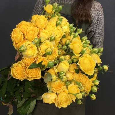 Фото красивой желтой розы с возможностью выбора размера