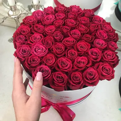 Фото розы лакшери с возможностью выбора размера