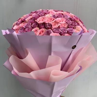 Изумительная фотография розы лакшери со свободной загрузкой