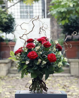 Замечательная картинка розы лакшери для загрузки