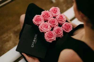 Фото, демонстрирующая красоту розы лакшери